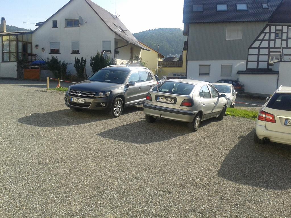 Gasthaus Traube, Ludwigshafen, Bodensee, Seenah Gelegen ボートマン・ルートヴィヒスハーフェン エクステリア 写真