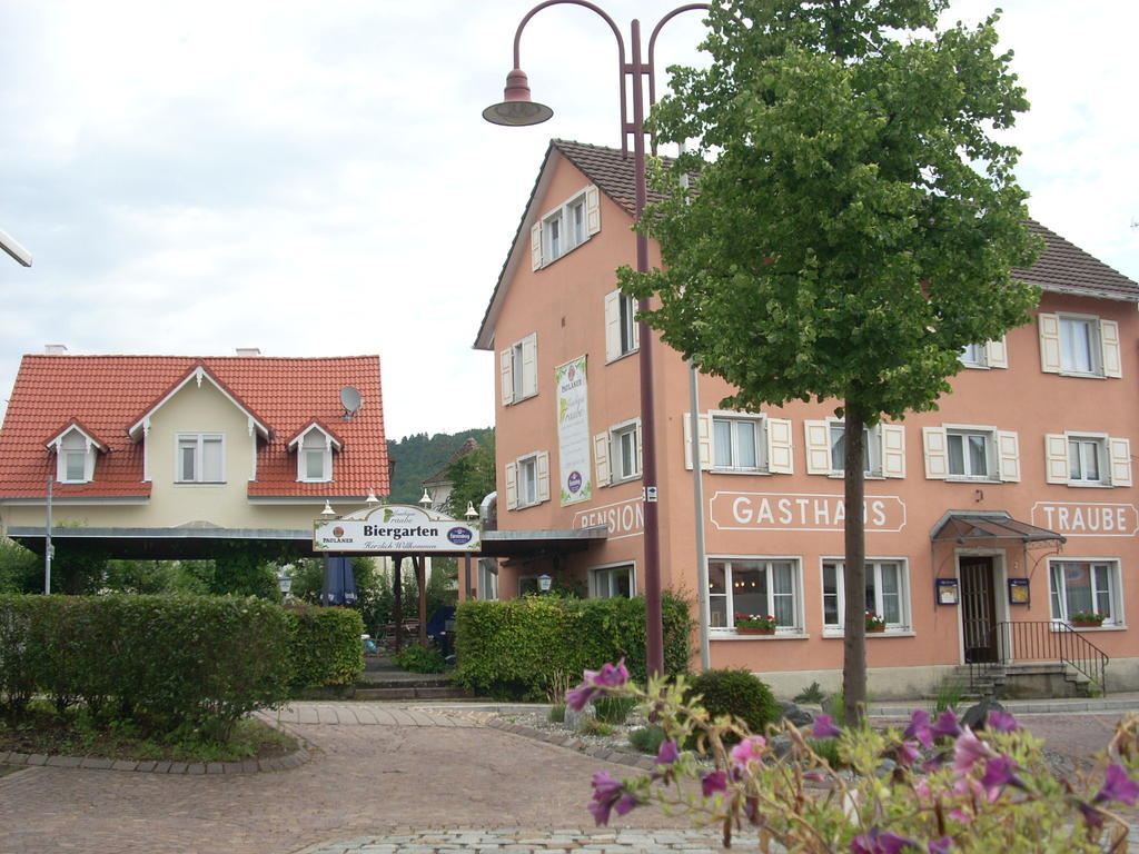 Gasthaus Traube, Ludwigshafen, Bodensee, Seenah Gelegen ボートマン・ルートヴィヒスハーフェン エクステリア 写真